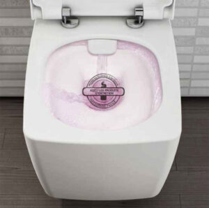 Lire la suite à propos de l’article Cuvettes de WC sans bride, une innovation au service de l’hygiène