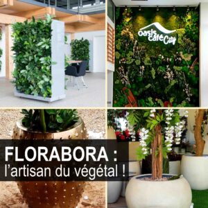 Lire la suite à propos de l’article Les murs végétalisés, une combinaison entre l’art et le paysagisme par FLORABORA